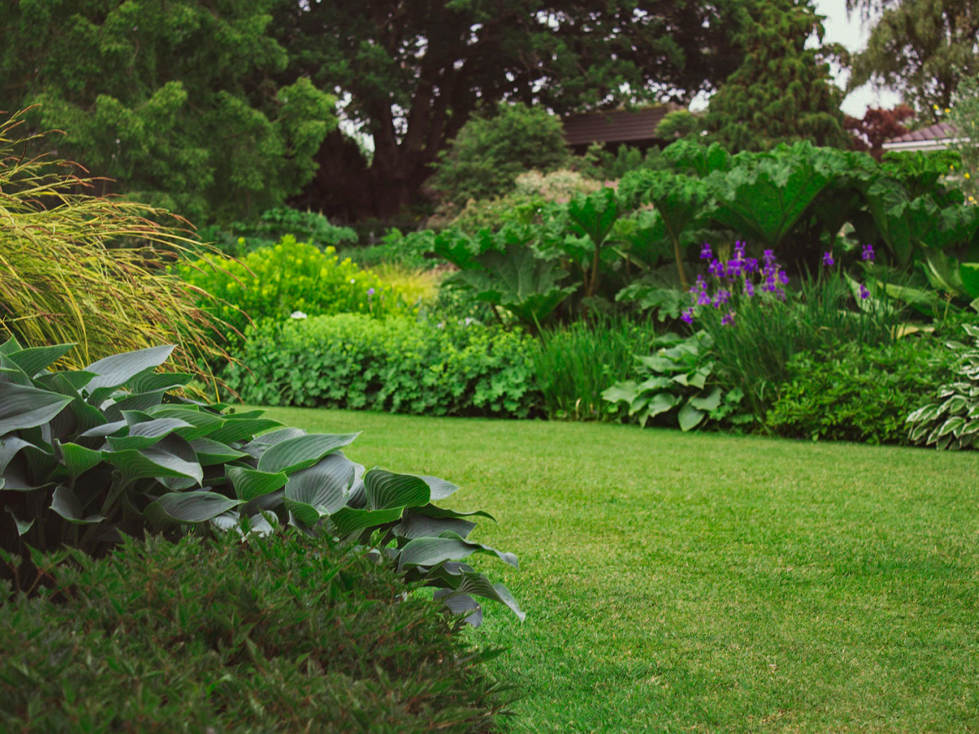 hornet on green leaf
