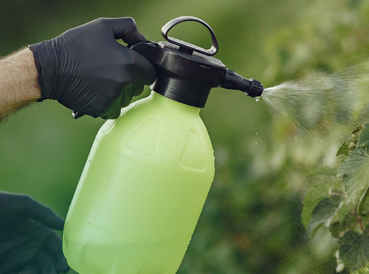spray pest control treatment