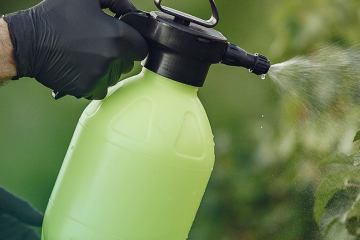 spray pest control treatment