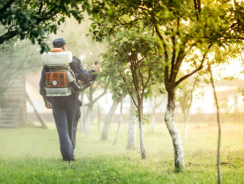 Kids playing with a playground parachute