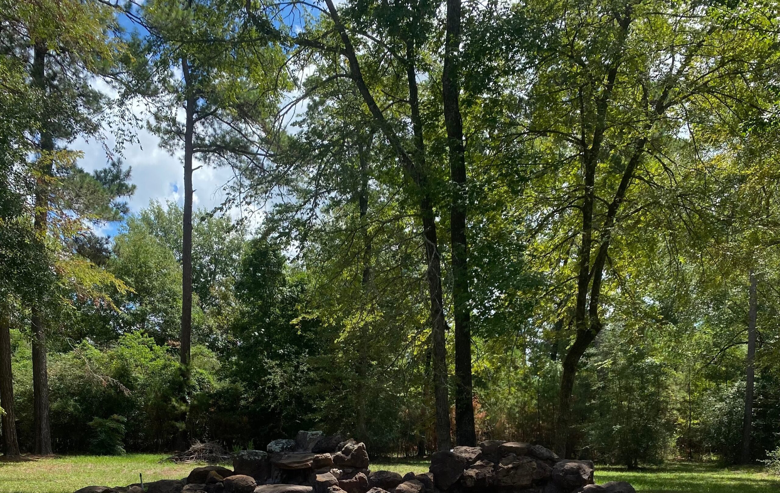Kids playing with a playground parachute